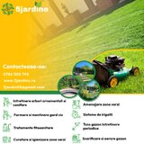 Amenajari si intretinere spatii verzii/ Intretinere gradini si plante